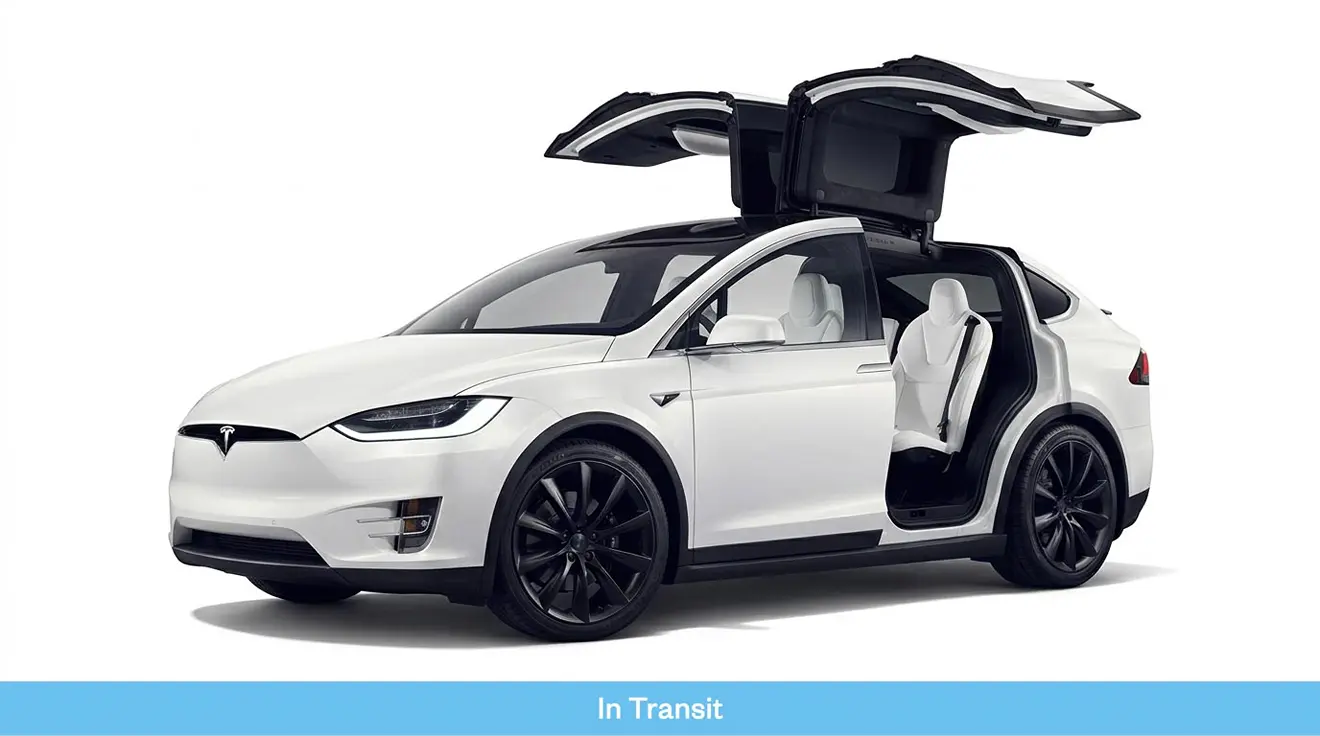 2019 Tesla Model X Performance (6 Seats) Lifetime FSD